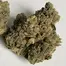 Patient Image of Dalgety MOG T24 Marshmellow OG Medical Cannabis
