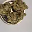 Patient Image of Green Karat PV T30 Pavé S1 Medical Cannabis