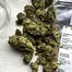 Patient Image of Noidecs T10:C10 Critical Mass CBD Medical Cannabis