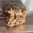 Patient Image of Cake & Caviar Organic BBYY T24 Blueberry Yum-Yum Medical Cannabis