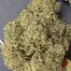 Patient Image of Green Karat LM T27 London Marker Medical Cannabis
