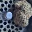 Patient Image of Next Friday MTF T30 Mutant Tyre Fire Medical Cannabis