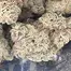 Patient Image of Headstone Cannabis WP T28 Wedding Punch Medical Cannabis