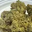 Patient Image of Lumir® KSC T26 Kush Cookies Medical Cannabis
