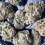 Patient Image of CannFX PM T28 Permanent Marker Medical Cannabis