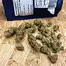 Patient Image of Medicus FPK T27 Fruity Pebble Kush Medical Cannabis