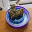 Patient Image of Mystery Mountain™ ICM MNZ T28 Ice Cream Mintz Medical Cannabis