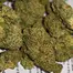Patient Image of IPS CM T28 Cherry Mints Medical Cannabis