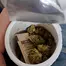 Patient Image of Noidecs T17 Night Queen Medical Cannabis