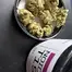 Patient Image of Noidecs T19 Mazar-i-Sharif Medical Cannabis