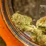 Patient Image of Kasa Verde GZP T26 Gazzurple Medical Cannabis