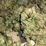 Patient Image of MedCan Isando T16-17 Birthday Cake Medical Cannabis