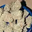 Patient Image of Medicus FPK T27 Fruity Pebble Kush Medical Cannabis