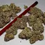 Patient Image of IPS PC T23 Permanent Chimera Medical Cannabis