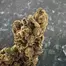 Patient Image of Curaleaf® HSR T21 High Silver Medical Cannabis