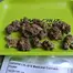 Patient Image of Ostara LVL T8:C10 Long Valley Legend Medical Cannabis