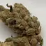 Patient Image of Dalgety KBQ T27 Korean BBQ Medical Cannabis
