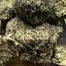 Patient Image of Lot420™ ROR T26-T28 Ripped Off Runtz Medical Cannabis