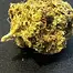 Patient Image of Dalgety CMOG T27 Chem-Mog Medical Cannabis