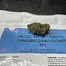 Patient Image of Curo® SB T22 Superboof Medical Cannabis