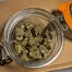 Patient Image of Scoops GCR Smalls T27 Gas Cream Cake Medical Cannabis