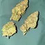 Patient Image of 4C Labs DBG T21 Donny Burger Medical Cannabis