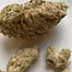 Patient Image of SafriCanna BCP T21 Black Cherry Punch Medical Cannabis