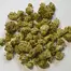 Patient Image of EcoCann Access MTB T19 Motorbreath Medical Cannabis