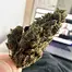 Patient Image of Adven® EMB-1 T5:C10 Best Choice Medical Cannabis