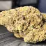 Patient Image of Tofino Ripper™ BC Craft LSO SPR SHB T27 Super Sherb Medical Cannabis