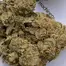 Patient Image of IPS SCP T21 Sherb Cream Pie Medical Cannabis