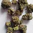 Patient Image of Noidecs T19 Mazar-i-Sharif Medical Cannabis