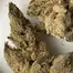 Patient Image of Dalgety KBQ T27 Korean BBQ Medical Cannabis