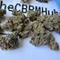 Patient Image of Cookies® C-PS T22 Pomegranate Shake Medical Cannabis
