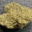 Patient Image of Upstate® SS T24 Scoops Medical Cannabis