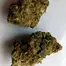 Patient Image of Noidecs T17 Night Queen Medical Cannabis