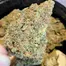 Patient Image of 4C Labs Craft Organic LIS T24 Lucy in the Sky Medical Cannabis
