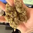 Patient Image of Craft Botanics® SMM T28 Slurricane Mimosa Medical Cannabis