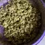 Patient Image of Blod Nosda T26 French Macaron Medical Cannabis