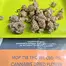 Patient Image of Upstate® MOP T18 Mimosa Orange Punch Medical Cannabis
