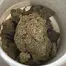 Patient Image of Oceanic Releaf BC T23 Black Cookies Medical Cannabis