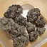 Patient Image of Phant INSX T20 Intersteller Medical Cannabis