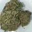 Patient Image of Tilray® T22 Headband Medical Cannabis