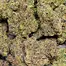 Patient Image of Dalgety BOB T18 Blood Orange Breeze Medical Cannabis