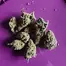 Patient Image of Phant PD T25 MAC-1 x Powdered Donuts Medical Cannabis
