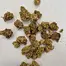 Patient Image of Medicus FC T27 Fire Cookies Medical Cannabis