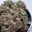 Patient Image of Kasa Verde FC T32 Fight Club Medical Cannabis