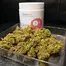 Patient Image of Adven® Cura-5 T18 Three Green Kings Medical Cannabis
