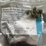 Patient Image of Four GMOS T26 GMO Slapz Medical Cannabis