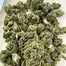 Patient Image of Fotmer Life Sciences T3h T22 Purple Dog Bud Medical Cannabis